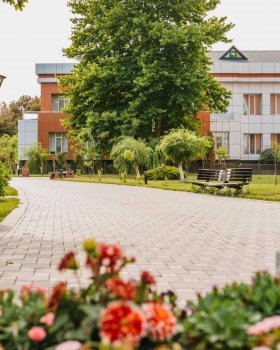 Лечение суставов в Нафталане: цены 2026, отзывы и лучшие санатории