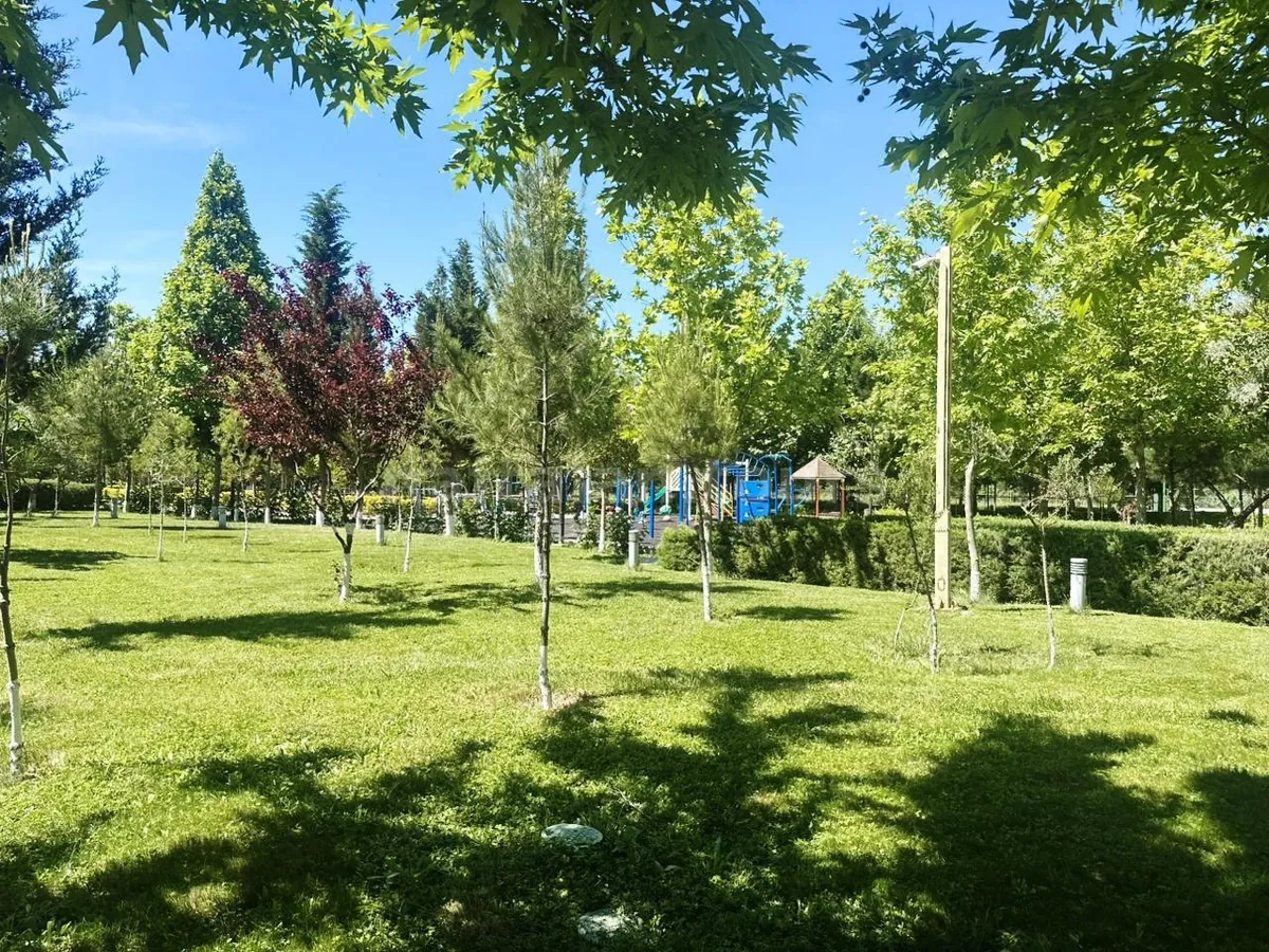 Парковая зона Gashalti с тенистыми деревьями