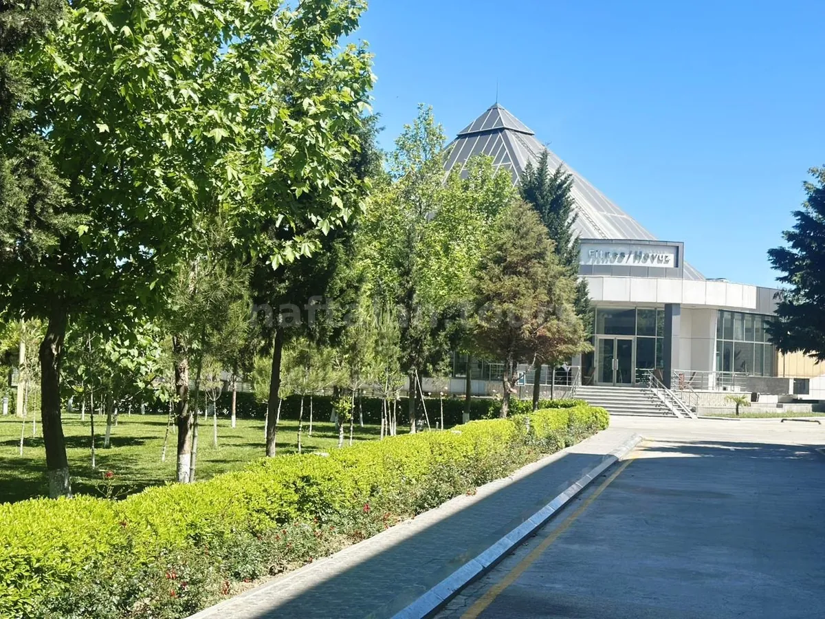 Дорожка через парк Gashalti к медицинскому корпусу