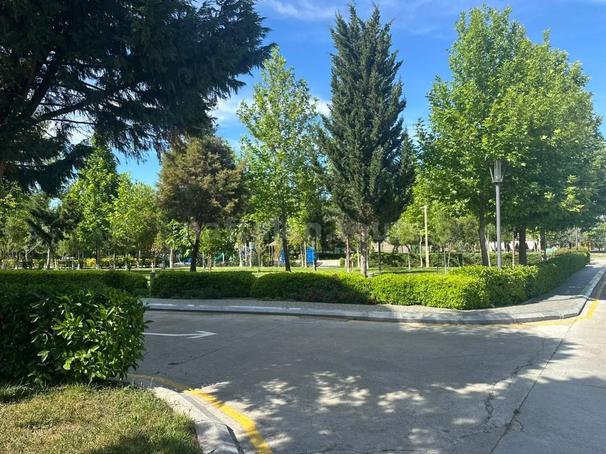 Парковая зона Gashalti утром
